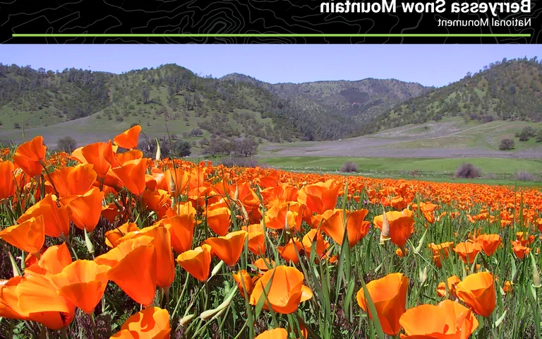 美食生活